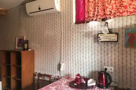 Лев на солнце - 19