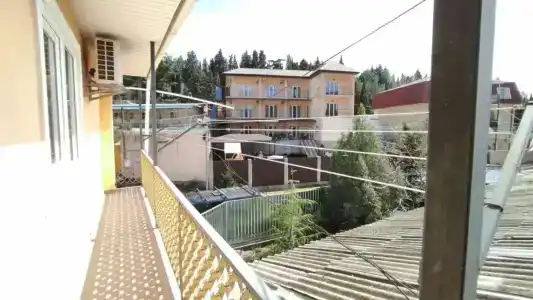 Green Patio - 8