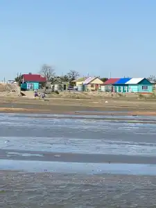 Бамбук - 4