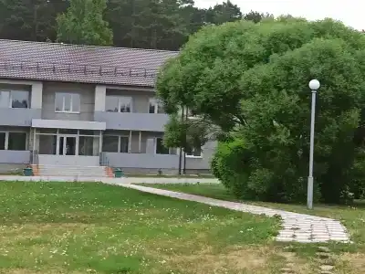 Сосны - 11