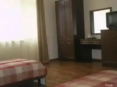 Фиеста - 33