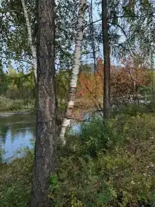 Спутник - 5