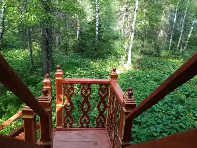 Студеный плес - 12