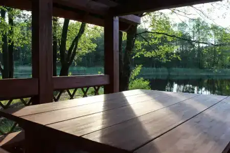 Лесной Эдем - 39