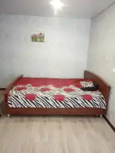 Hostel na Vatutina - 4