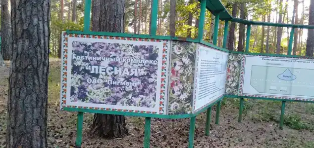 Лесная - 23