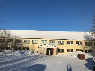 Полярник - 44