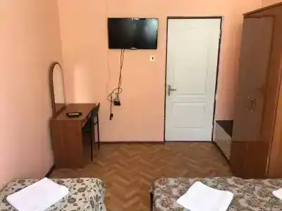 Виолетта на Лескова - 26