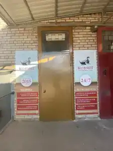 Ковчег - 4