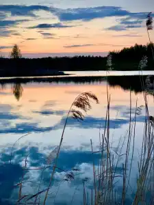 Сабурово - 36