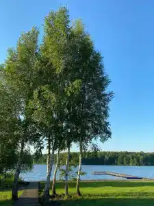 Гриль-зона Заозерье - 43