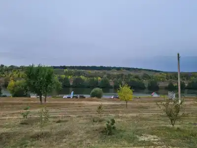 Золотой карп - 22