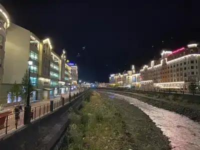 Голден Тюлип - 46