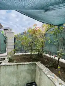 Пионеры - 11