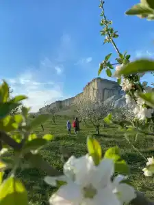 Ibrahim Evi - 13