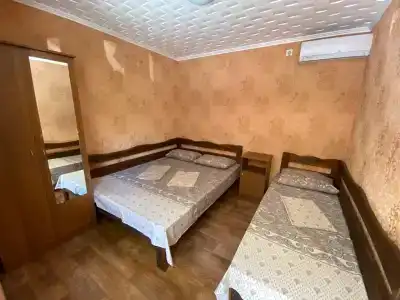 Зелёный остров - 23