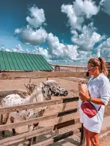 Страусиная ферма Экзотик - 7