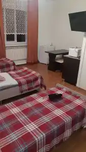 Путник - 20