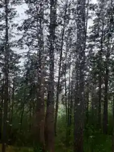 База Сокол, озеро Глубокое - 73