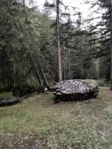 Найман - 14