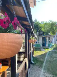 В гостях у Виктора и Ангелины - 3