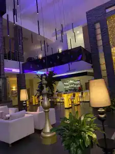 Голден Тюлип - 70