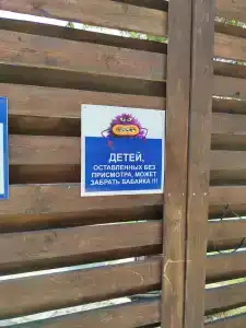 Дельфин2 - 21