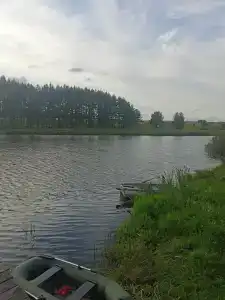 Золотая рыбка - 49