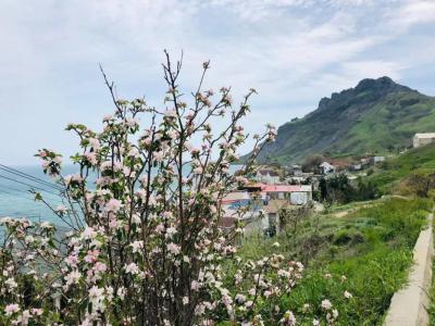 Белый Грифон - 50