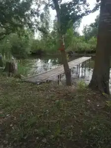Богородское - 37