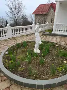 Климентина - 31