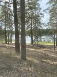 Турбаза завода им. Фрунзе - 18