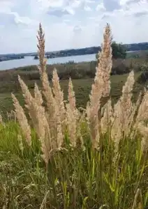 Стрелецкая Слобода - 15