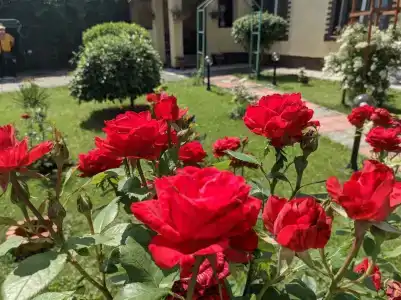 Тихая Гавань - 11