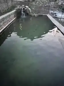 У Индиры - 6