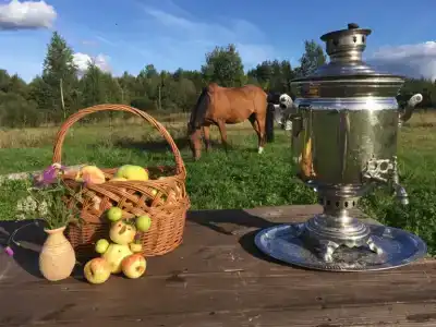 Лошадкино - 7