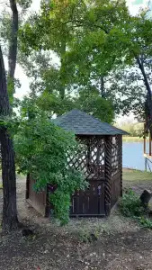 Роза Ветров - 22
