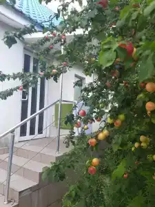 Орлиное - 24