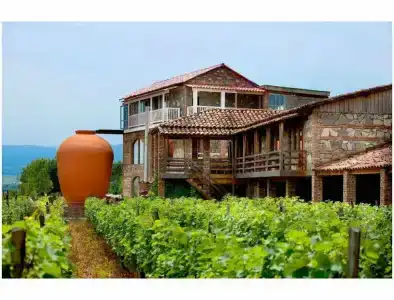 Twins Wine House - 0
