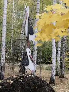 Солнечная поляна - 39