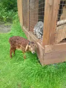 Солонечный - 43