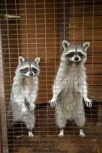 Солонечный - 19