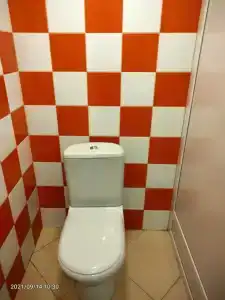Бегемот - 11