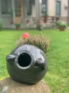 Вояж - 17