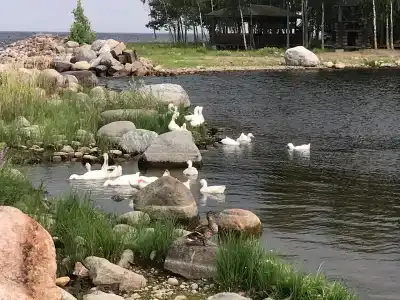 Самая Ладога - 59