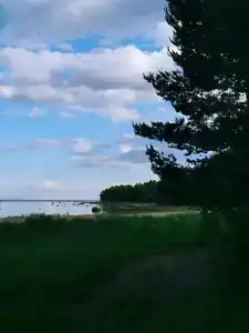 Бухта желтая - 57