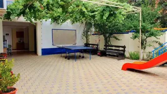 Лидия Плюс - 15