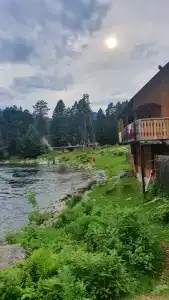 Светлая - 0