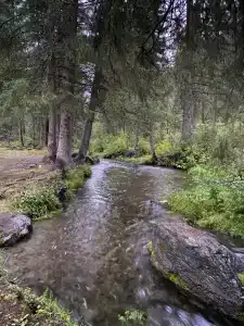 Найман - 2