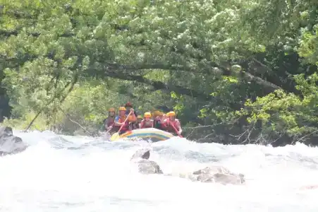 Ореховая роща - 9